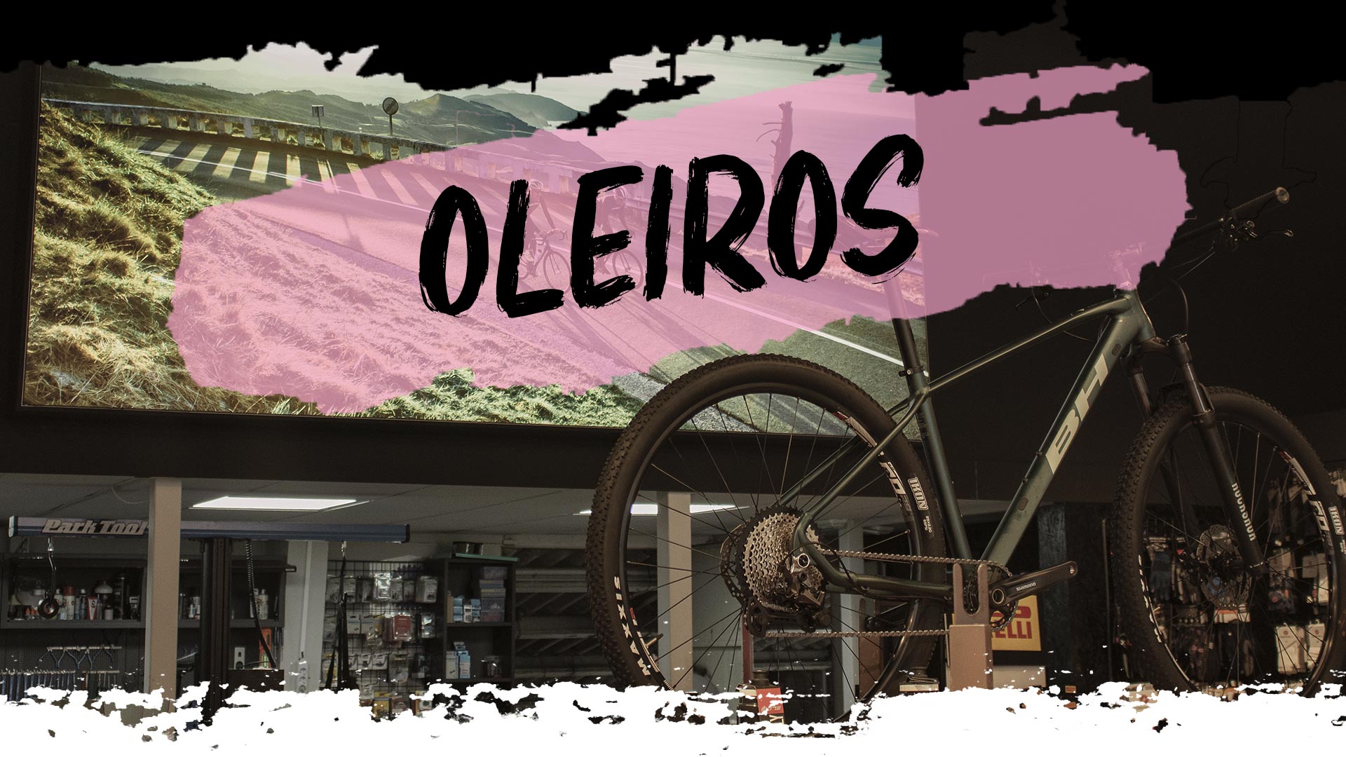 Oleiros